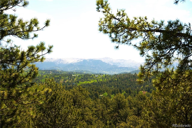 29 Dexter Cir, Cripple Creek, CO 80813