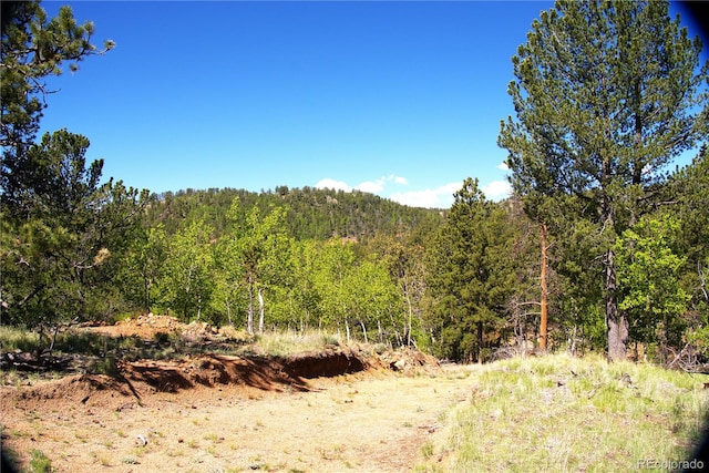 29 Dexter Cir, Cripple Creek, CO 80813