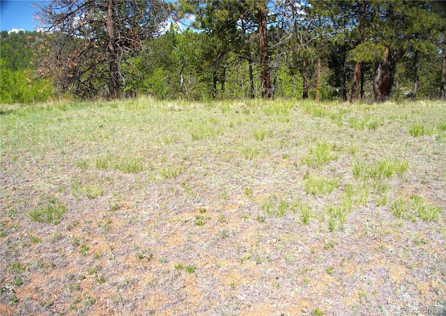 29 Dexter Cir, Cripple Creek, CO 80813