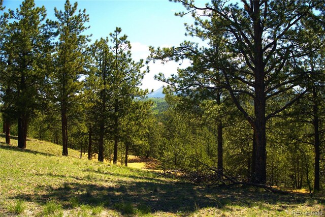 29 Dexter Cir, Cripple Creek, CO 80813