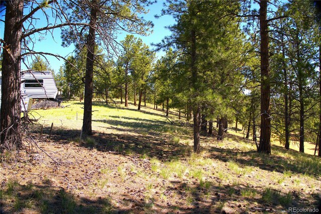 29 Dexter Cir, Cripple Creek, CO 80813