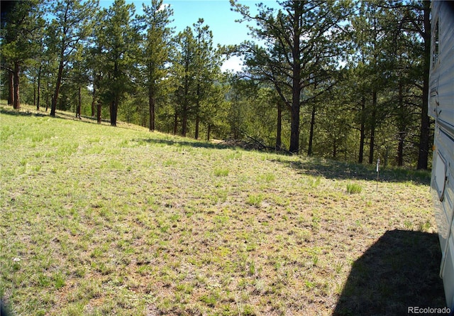 29 Dexter Cir, Cripple Creek, CO 80813