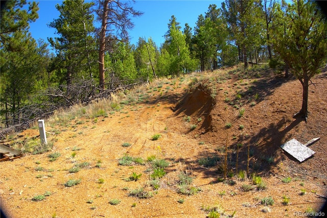 29 Dexter Cir, Cripple Creek, CO 80813