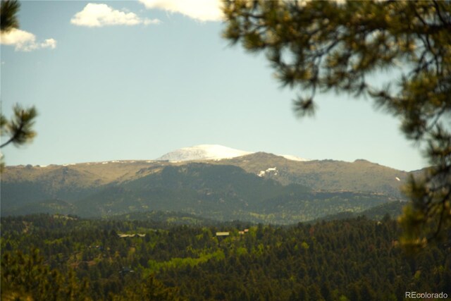 29 Dexter Cir, Cripple Creek, CO 80813