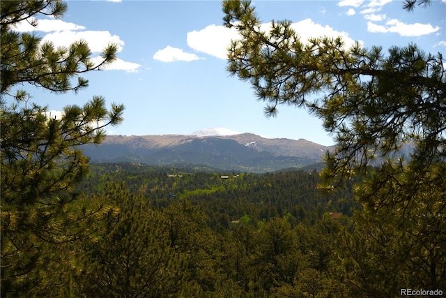 29 Dexter Cir, Cripple Creek, CO 80813
