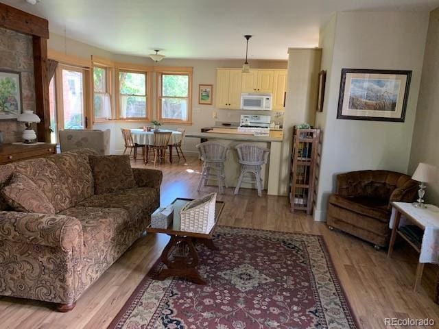 living room featuring light hardwood / wood-style floors