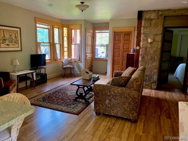 living room featuring wood-type flooring and a wealth of natural light