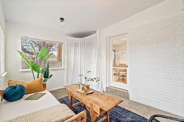 sitting room featuring carpet floors