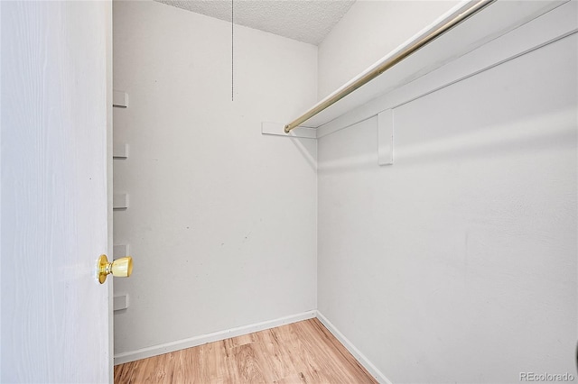 1796 S Yampa Way, Aurora, CO 80017 - walk in closet featuring light wood finished floors