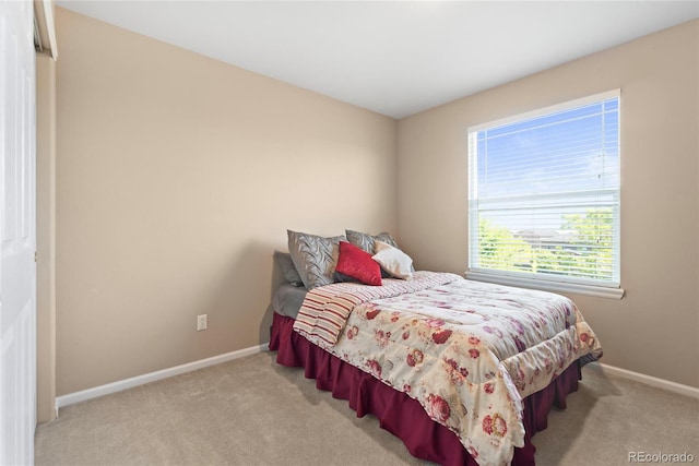 9290 Melborne Ct, Parker, CO 80134 - bedroom with carpet floors and baseboards