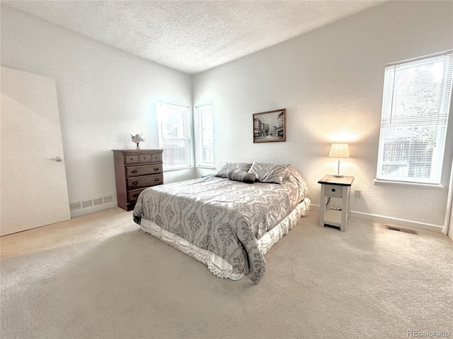 4493 Dunkirk Way, Denver, CO 80249 - bedroom featuring multiple windows, carpet flooring, a textured ceiling, and baseboards
