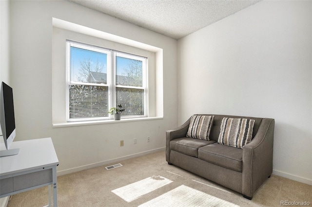 4493 Dunkirk Way, Denver, CO 80249 - living area featuring carpet flooring, a textured ceiling, and baseboards
