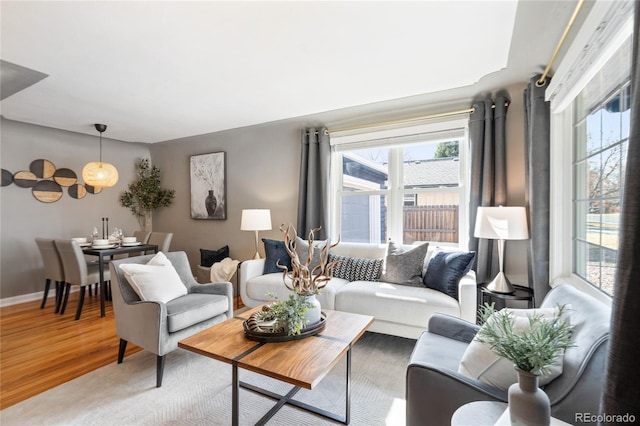 living room with baseboards and wood finished floors