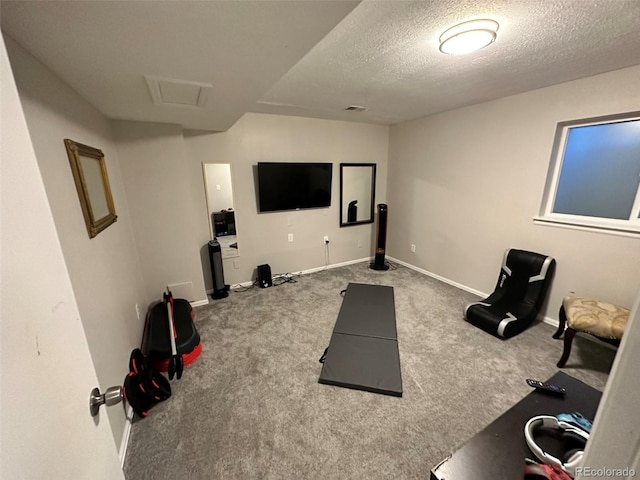 exercise room with carpet flooring and a textured ceiling