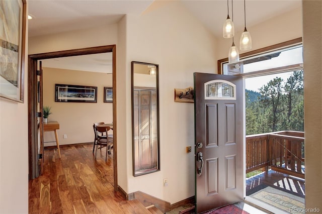 foyer with hardwood / wood-style flooring