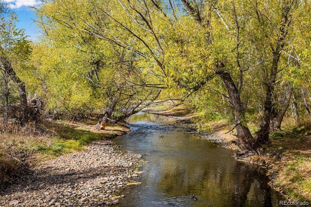 water view featuring a view of trees