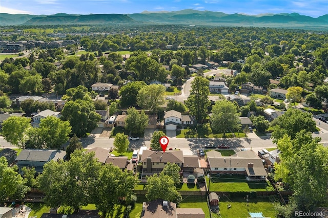 5870 Quail St, Arvada, CO 80004 - photo 40