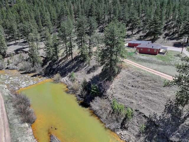 387 Jess-Mar Dr, Shawnee, CO 80475 - photo 17