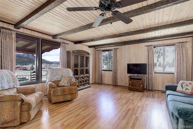 387 Jess-Mar Dr, Shawnee, CO 80475 - photo 38