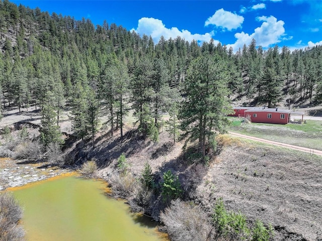 387 Jess-Mar Dr, Shawnee, CO 80475 - photo 45
