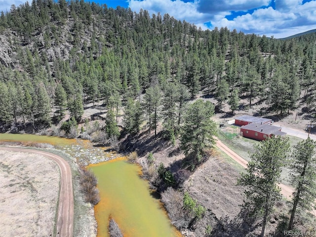 387 Jess-Mar Dr, Shawnee, CO 80475 - photo 50