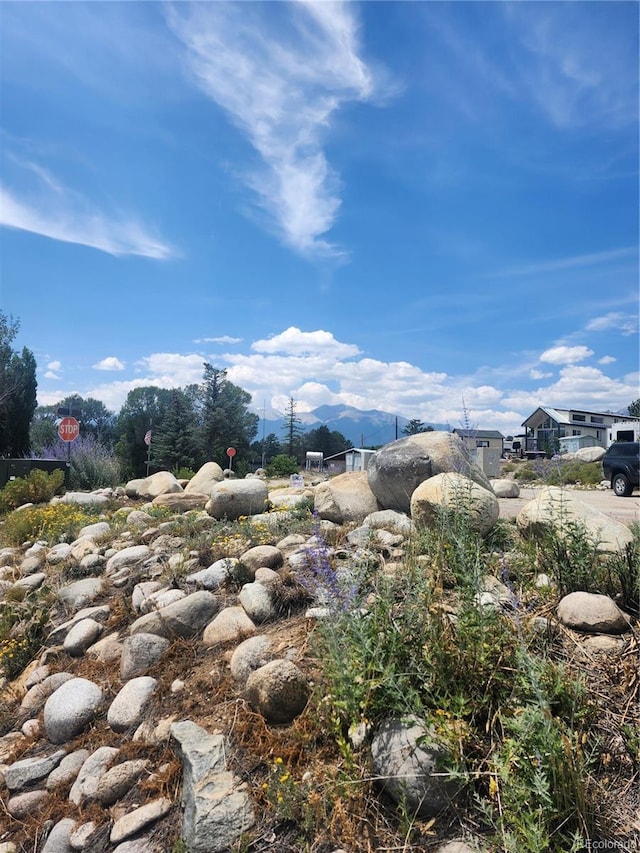10795 County Road 197a Unit 290, Nathrop, CO 81236 - view of yard