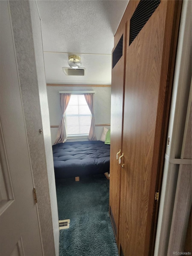 10795 County Road 197a Unit 290, Nathrop, CO 81236 - hallway with carpet floors and a textured ceiling