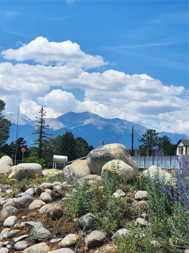 10795 County Road 197a Unit 290, Nathrop, CO 81236 - mountain view