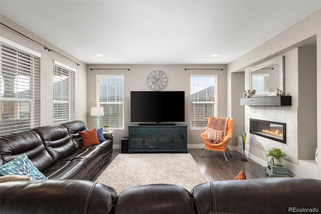 living room featuring hardwood / wood-style flooring