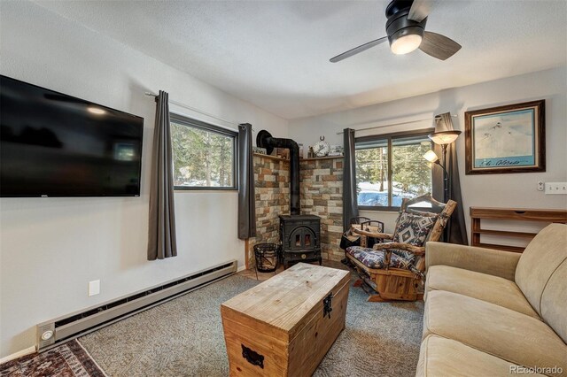 324 County Road 672, Breckenridge, CO 80424 - photo 12