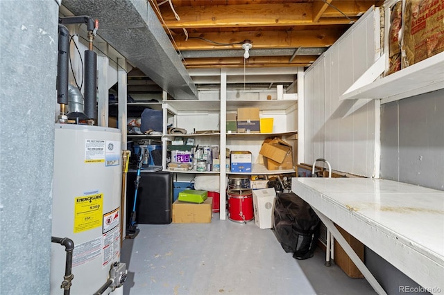 storage room with gas water heater