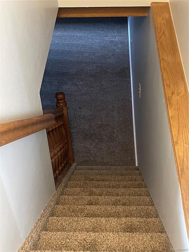 2617 S Cimarron St, Aurora, CO 80014 - staircase with carpet floors
