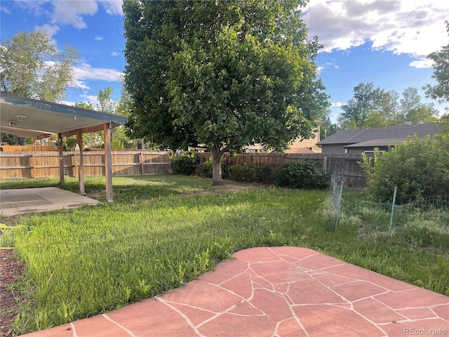 2617 S Cimarron St, Aurora, CO 80014 - view of yard with a patio