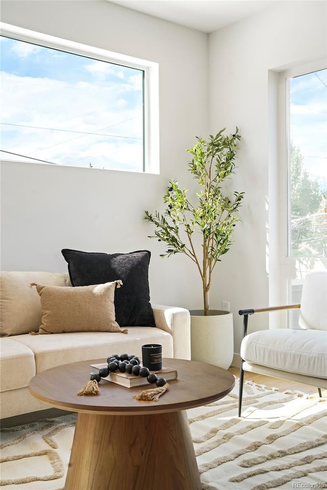 living room with wood-type flooring