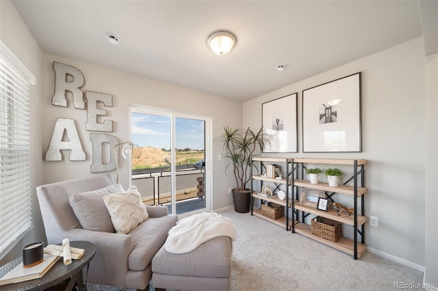 13616 E 103rd Pl, Commerce City, CO 80022 - living area featuring carpet flooring and baseboards