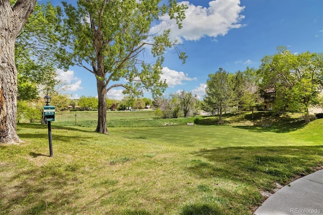 surrounding community featuring a yard