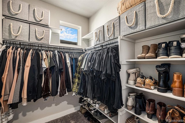 15274 W 64th Ln Unit 206, Arvada, CO 80007 - view of walk in closet