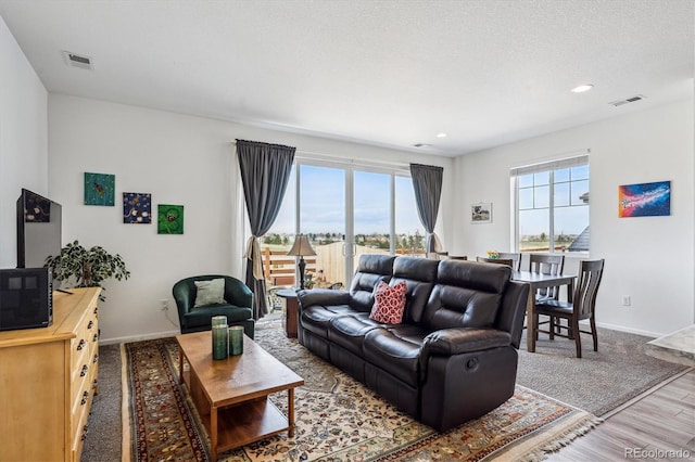 95 S Edge Cliff St, Castle Rock, CO 80104 - living room featuring baseboards, wood finished floors, visible vents, and a wealth of natural light