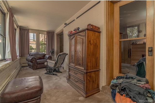 sitting room with light colored carpet and baseboard heating