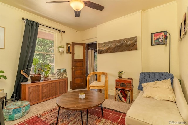 living area featuring radiator, ceiling fan, crown molding, and carpet