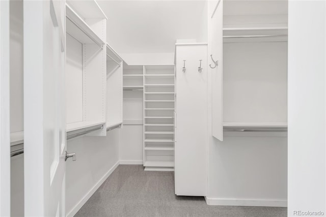 725 Nebula Ct, Colorado Springs, CO 80906 - walk in closet with carpet flooring
