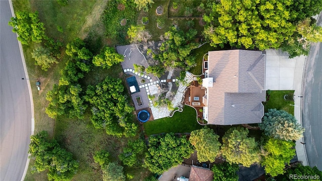 725 Nebula Ct, Colorado Springs, CO 80906 - bird's eye view