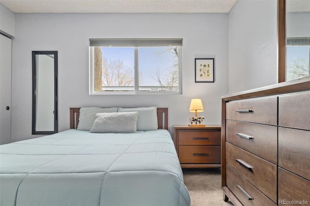 1060 S Parker Rd Unit 19, Denver, CO 80231 - view of carpeted bedroom