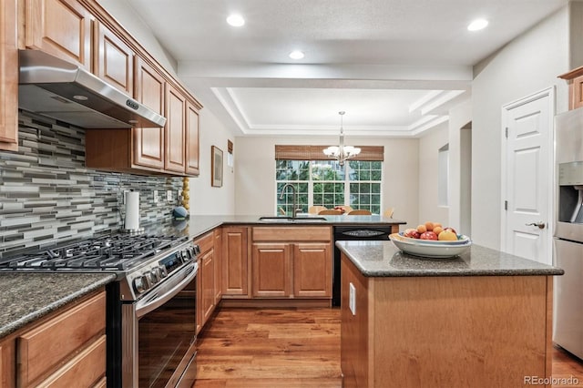 12427 James Ct, Broomfield, CO 80020 - kitchen with appliances with stainless steel finishes, under cabinet range hood, a peninsula, light wood-type flooring, and a raised ceiling