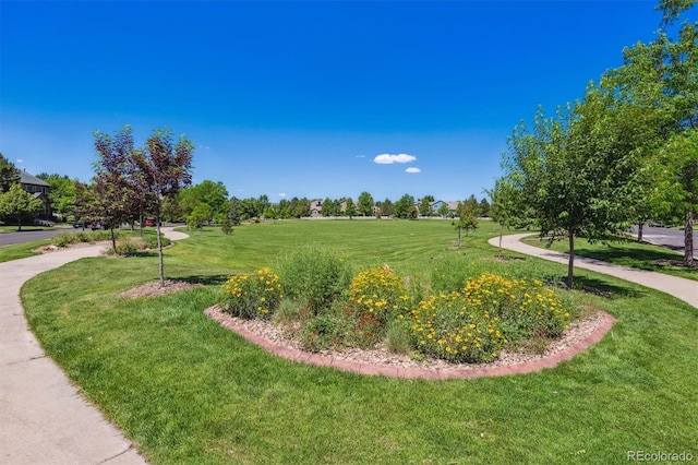 12427 James Ct, Broomfield, CO 80020 - view of property's community with a lawn