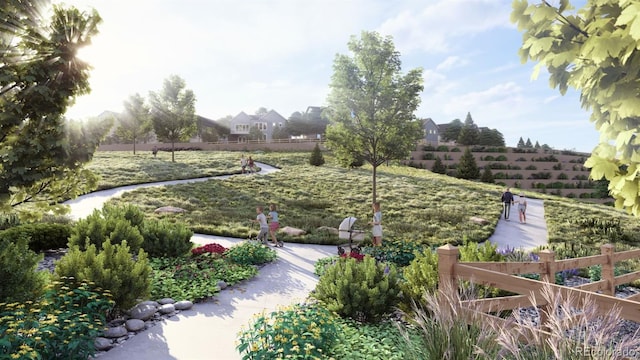 17117 W 91st Ln, Arvada, CO 80007 - view of yard
