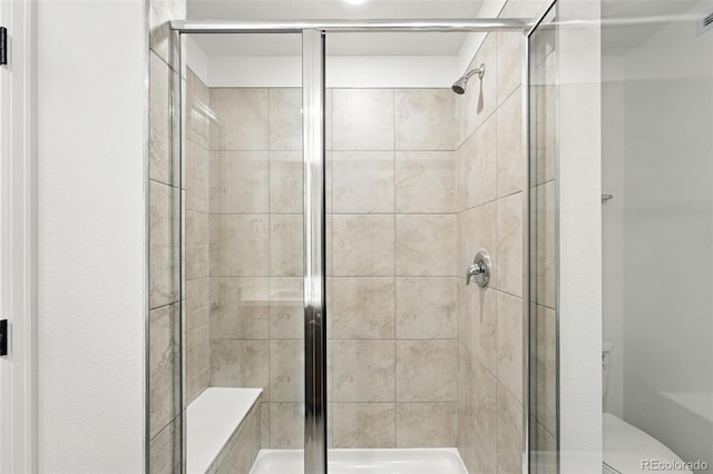 17117 W 91st Ln, Arvada, CO 80007 - bathroom featuring a stall shower and toilet