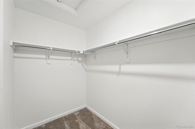 17117 W 91st Ln, Arvada, CO 80007 - spacious closet with dark carpet