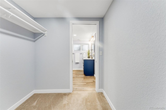445 Wintery Cir, Colorado Springs, CO 80919 - walk in closet featuring carpet floors