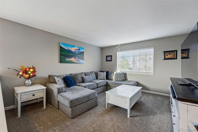 living area featuring carpet and baseboards